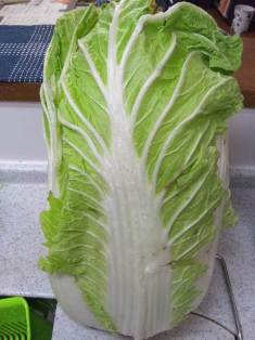 白菜と豚肉のミルフィーユ鍋